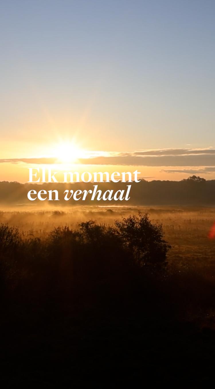 Zonsopkomst boven een mistig Limburgs landschap, met warme zonnestralen die de velden en silhouetten van struiken zacht verlichten. De tekst ‘Elk moment een verhaal’ staat centraal in beeld.