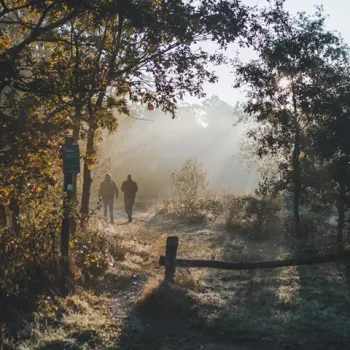 Wandelaars in een mistig bos bij ochtendzon, onderdeel van de campagne Elk moment een verhaal – In geuren en kleuren