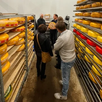 Bezoekers krijgen uitleg in de kaasrijpingsruimte van Mildershoof, tussen de planken vol Limburgse kazen.